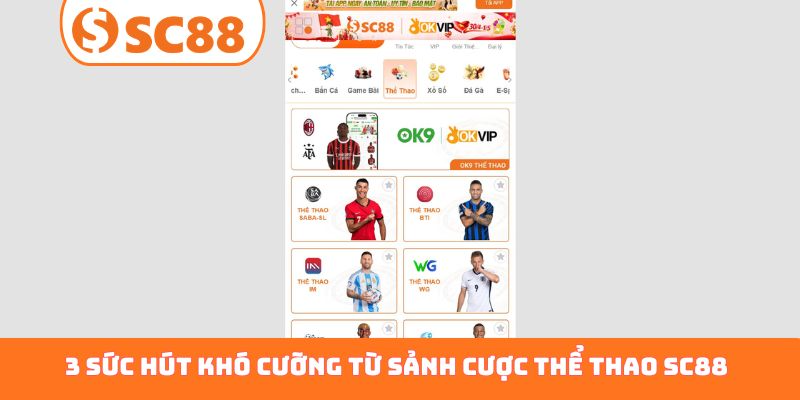 3 sức hút khó cưỡng từ sảnh cược thể thao SC88