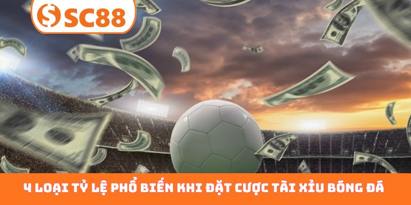 4 loại tỷ lệ phổ biến khi đặt cược tài xỉu bóng đá