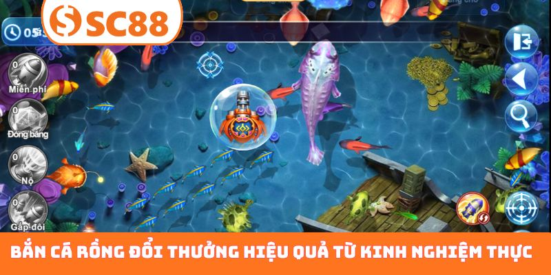 Bắn cá Rồng đổi thưởng hiệu quả từ kinh nghiệm thực tế