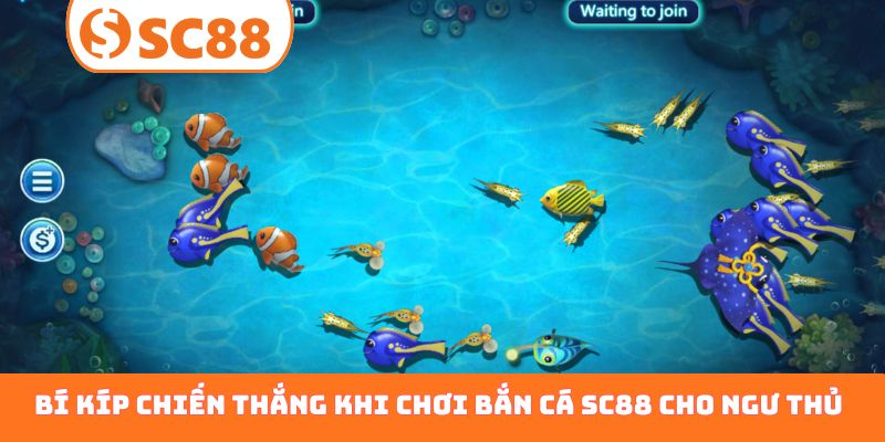Bí kíp chiến thắng khi chơi bắn cá SC88 cho ngư thủ