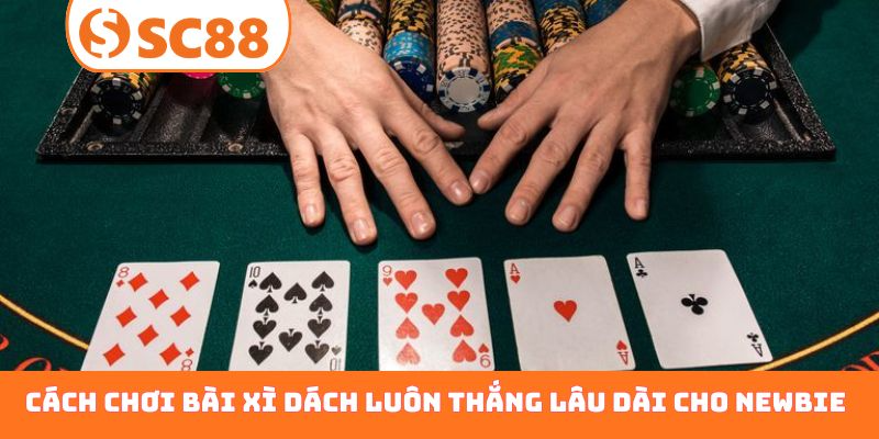 Cách chơi bài xì dách luôn thắng lâu dài cho newbie