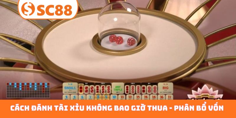 Cách đánh tài xỉu không bao giờ thua - Phân bổ vốn
