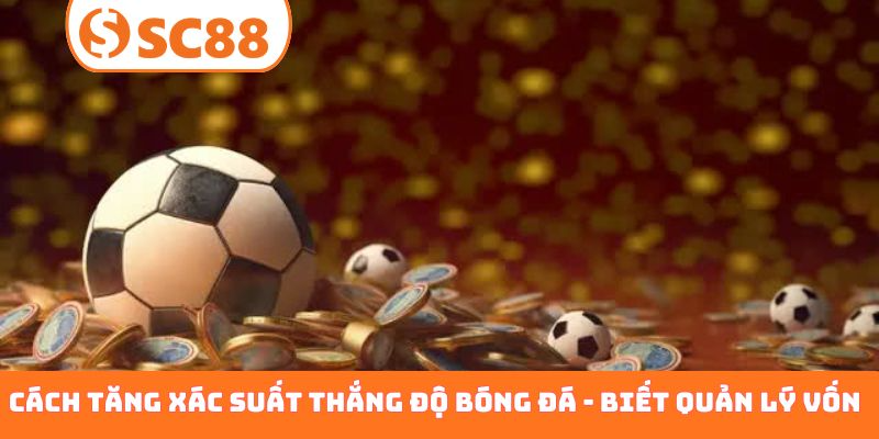 Cách tăng xác suất thắng độ bóng đá - Biết quản lý vốn